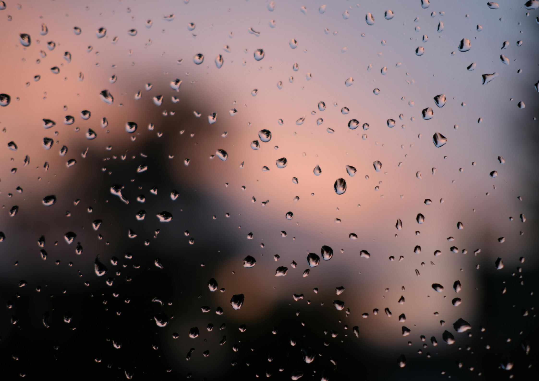 La gestión de la percepción en la comunicación